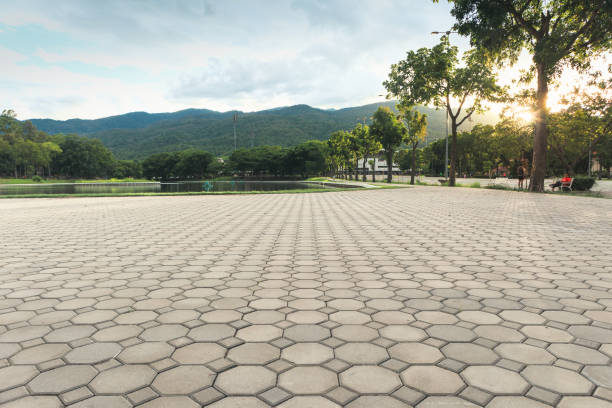 Best Interlocking Driveway Pavers  in Fort Bliss, TX